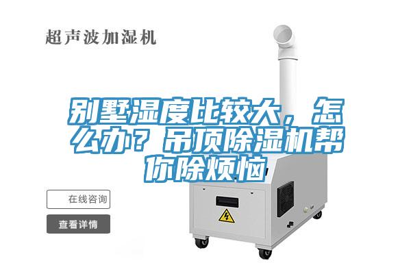 別墅濕度比較大，怎麽辦？吊頂香蕉视频国产幫你除煩惱