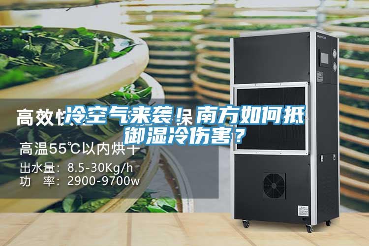 冷空氣來襲！南方如何抵禦濕冷傷害？