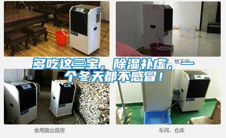 多吃這三寶，除濕補虛，一個冬天都不感冒！