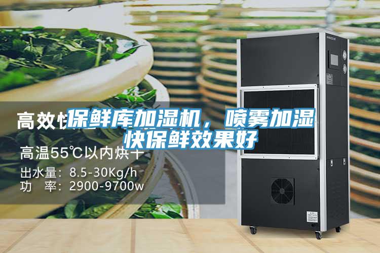 保鮮庫加濕機，噴霧加濕快保鮮效果好