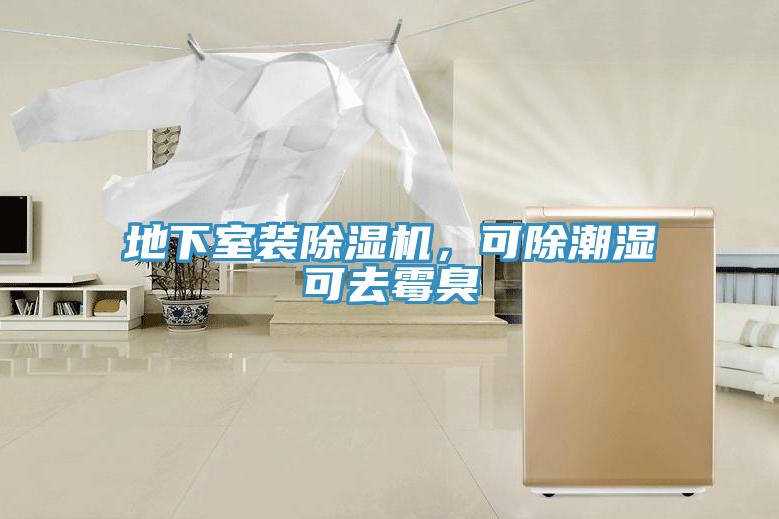 地下室裝香蕉视频国产，可除潮濕可去黴臭