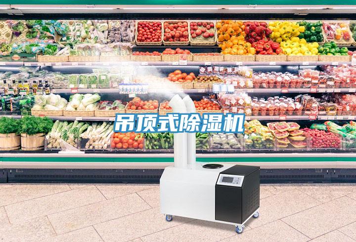 吊頂式香蕉视频国产
