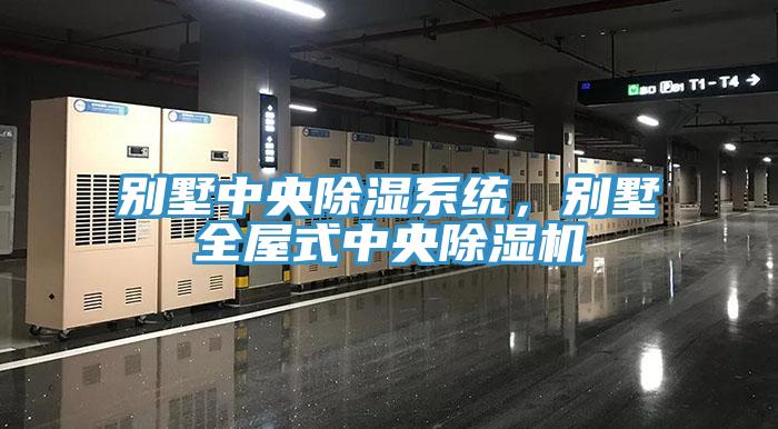 別墅中央除濕係統，別墅全屋式中央香蕉视频国产