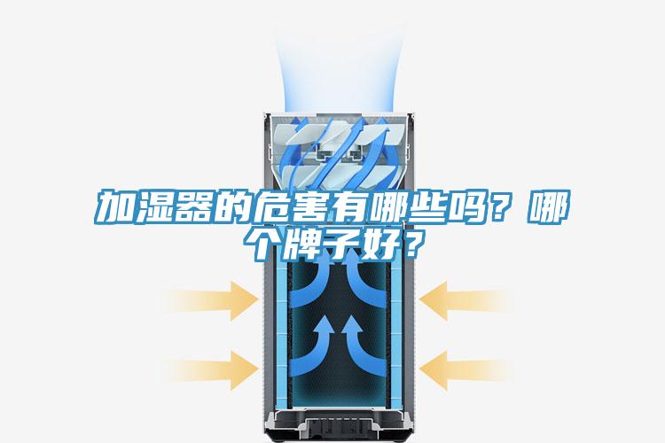 加濕器的危害有哪些嗎？哪個牌子好？