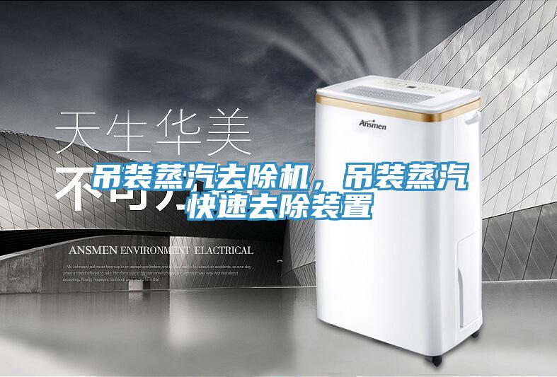 吊裝蒸汽去除機，吊裝蒸汽快速去除裝置