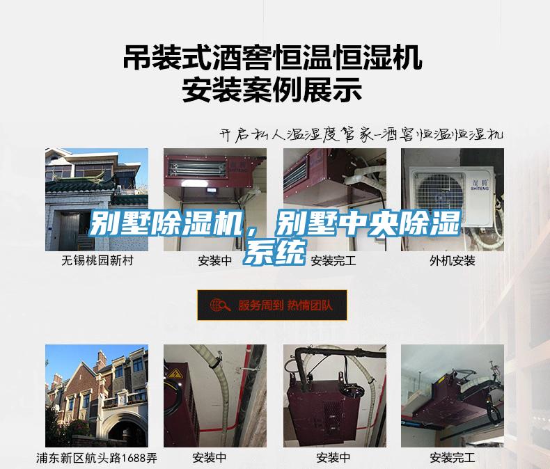 別墅香蕉视频国产，別墅中央除濕係統