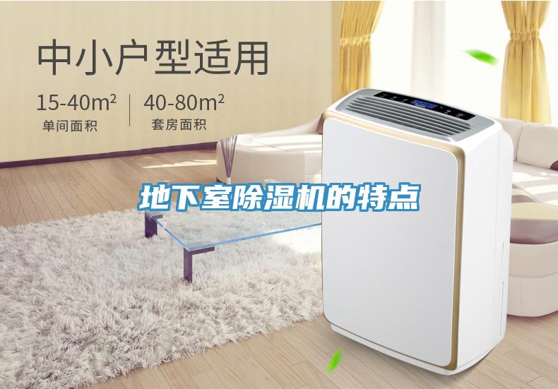 地下室香蕉视频国产的特點