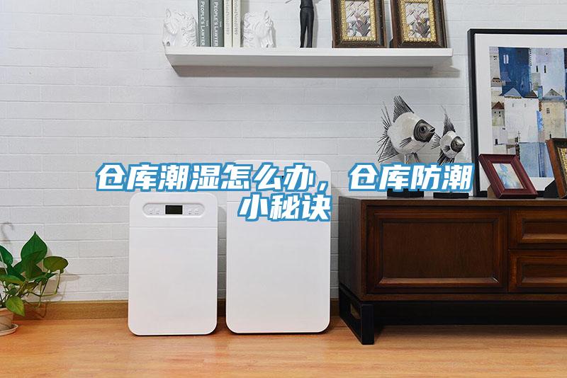 倉庫潮濕怎麽辦，倉庫防潮小秘訣