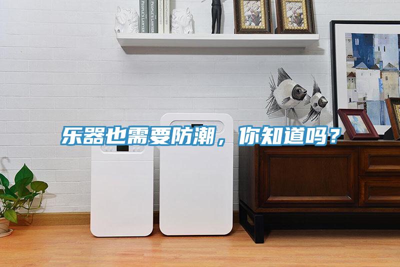 樂器也需要防潮，你知道嗎？