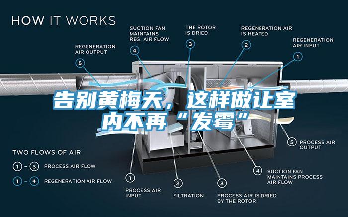 告別黃梅天，這樣做讓室內不再“發黴”