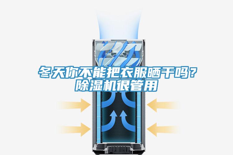 冬天你不能把衣服曬幹嗎？香蕉视频国产很管用