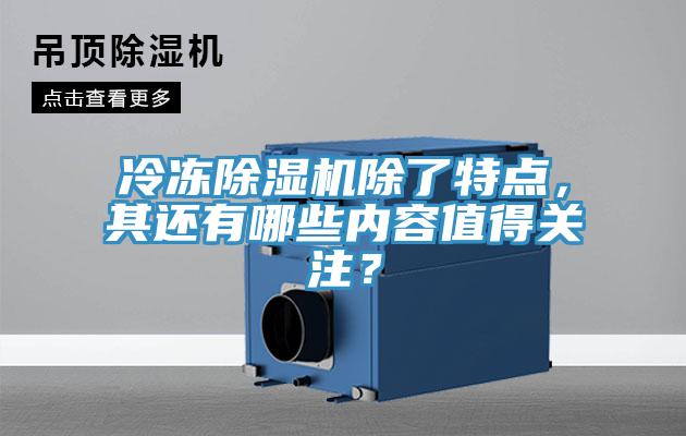 冷凍香蕉视频国产除了特點，其還有哪些內容值得關注？