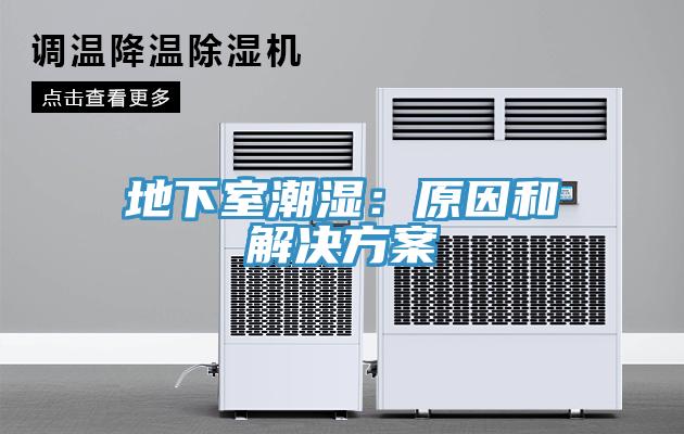 地下室潮濕：原因和解決方案
