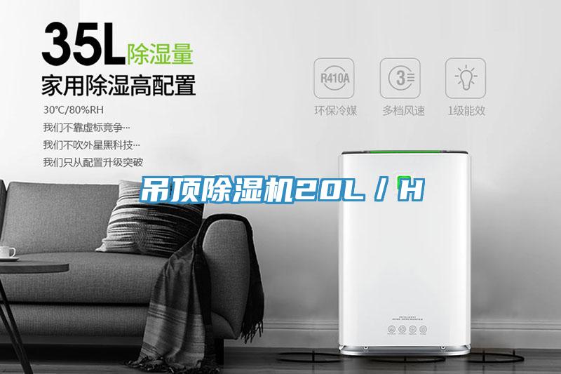 吊頂香蕉视频国产20L／H