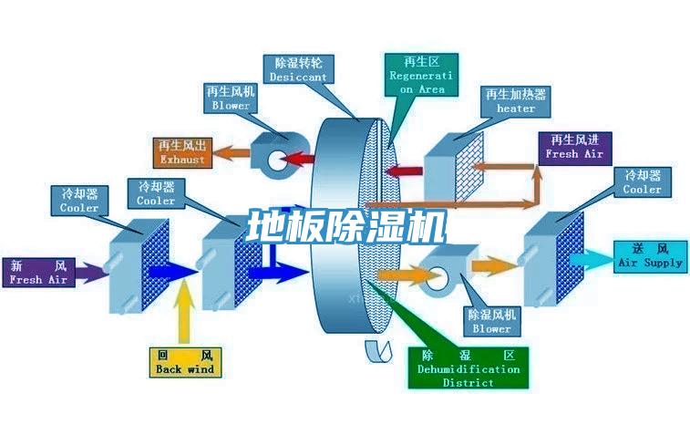 地板香蕉视频国产