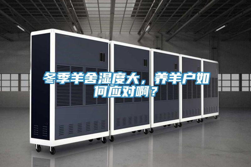 冬季羊舍濕度大，養羊戶如何應對啊？