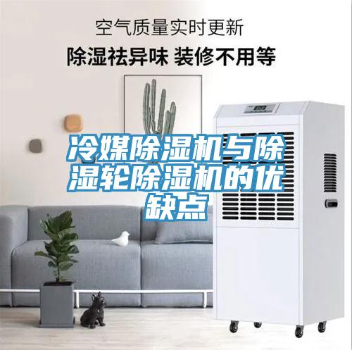 冷媒香蕉视频国产與除濕輪香蕉视频国产的優缺點
