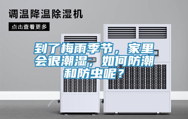 到了梅雨季節，家裏會很潮濕，如何防潮和防蟲呢？