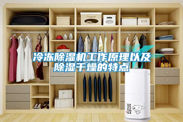 冷凍香蕉视频国产工作原理以及除濕幹燥的特點
