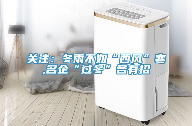 關注：冬雨不如“西風”寒,名企“過冬”各有招