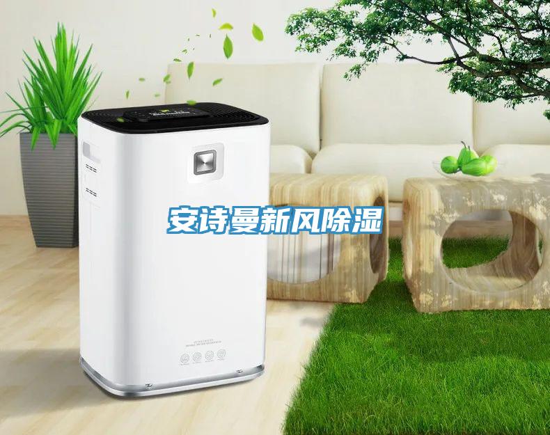 大香蕉性爱网新風除濕
