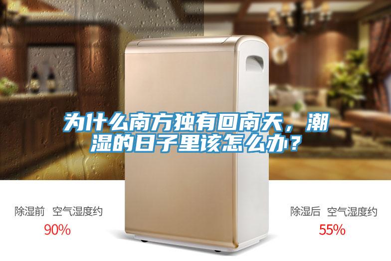為什麽南方獨有回南天，潮濕的日子裏該怎麽辦？