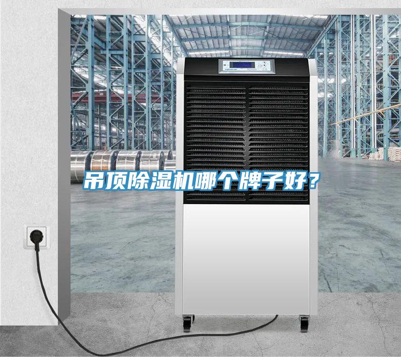 吊頂香蕉视频国产哪個牌子好？
