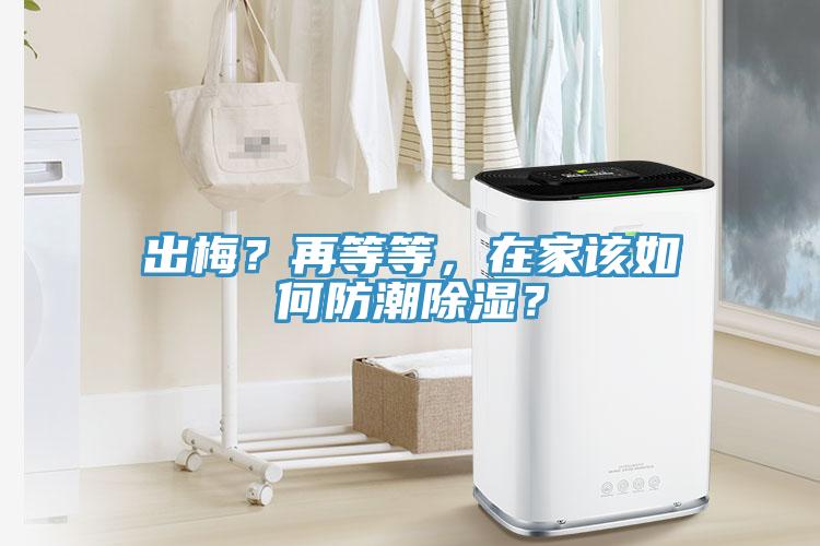 出梅？再等等，在家該如何防潮除濕？