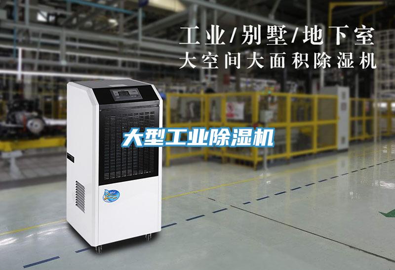 大型工業香蕉视频国产