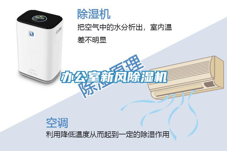 辦公室新風香蕉视频国产