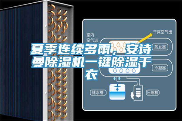 夏季連續多雨，大香蕉性爱网香蕉视频国产一鍵除濕幹衣
