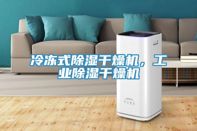 冷凍式除濕幹燥機，工業除濕幹燥機