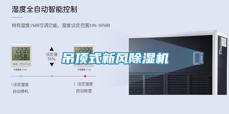 吊頂式新風香蕉视频国产