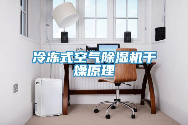 冷凍式空氣香蕉视频国产幹燥原理