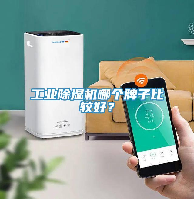 工業香蕉视频国产哪個牌子比較好？