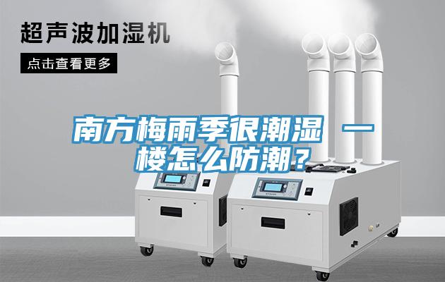 南方梅雨季很潮濕 一樓怎麽防潮？