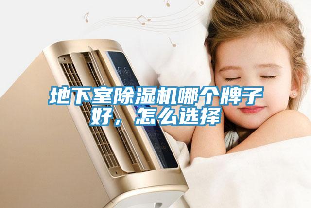 地下室香蕉视频国产哪個牌子好，怎麽選擇