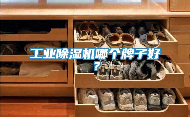 工業香蕉视频国产哪個牌子好？