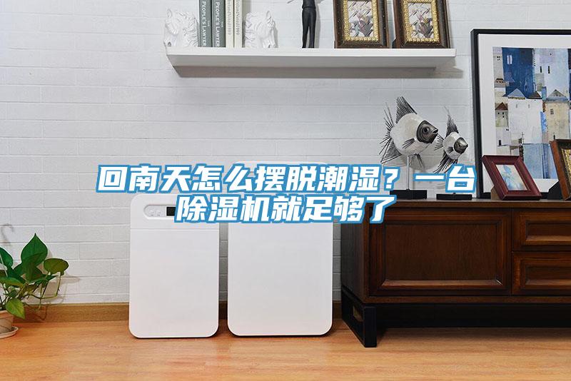 回南天怎麽擺脫潮濕？一台香蕉视频国产就足夠了