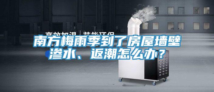 南方梅雨季到了房屋牆壁滲水、返潮怎麽辦？