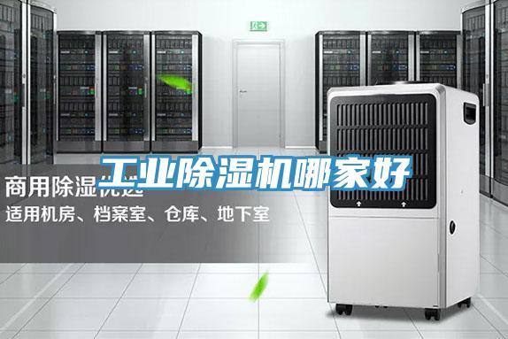 工業香蕉视频国产哪家好