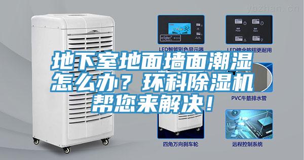 地下室地麵牆麵潮濕怎麽辦？環科香蕉视频国产幫您來解決！