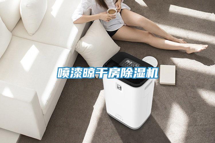 噴漆晾幹房香蕉视频国产