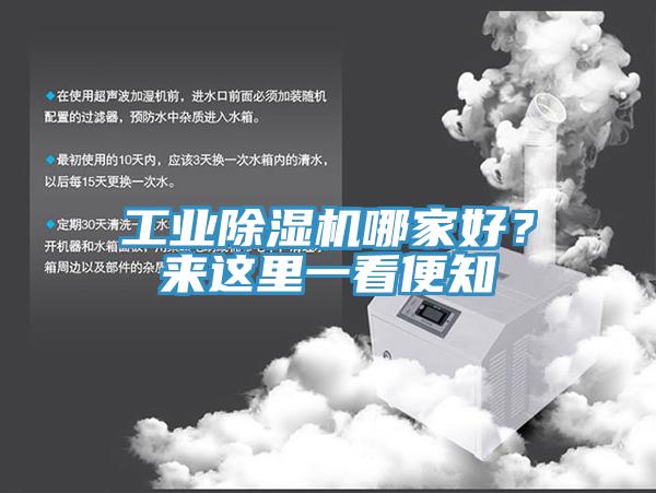 工業香蕉视频国产哪家好？來這裏一看便知