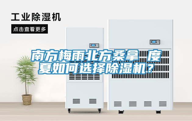 南方梅雨北方桑拿 度夏如何選擇香蕉视频国产？