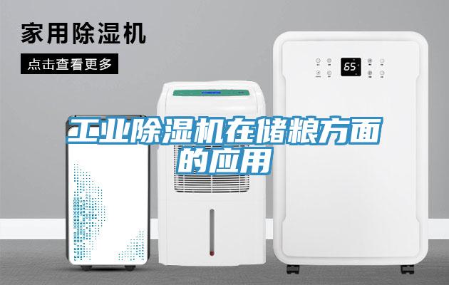 工業香蕉视频国产在儲糧方麵的應用