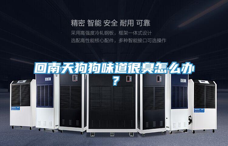 回南天狗狗味道很臭怎麽辦？