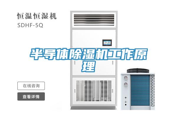 半導體香蕉视频国产工作原理