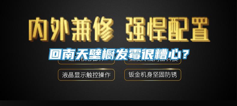 回南天壁櫥發黴很糟心？