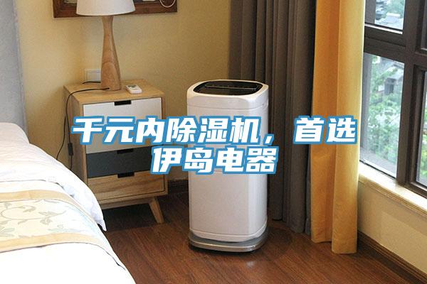 千元內香蕉视频国产，首選伊島電器